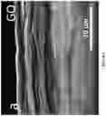Fig. 25 - Chitosan-graphene oxide membranes