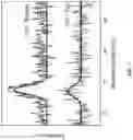 Fig. 29 - Chitosan-graphene oxide membranes