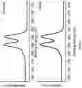 Fig. 40 - Chitosan-graphene oxide membranes