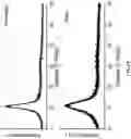 Fig. 41 - Chitosan-graphene oxide membranes