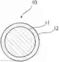Fig. 01 - CORE-SHELL PARTICLE