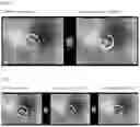 Fig. 06 - CORE-SHELL PARTICLE