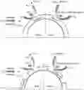 Fig. 01 - Oxygen carrying materials with surface modification for redox-based catalysis and methods of making and uses thereof