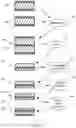 Fig. 05 - Layered silicon and stacking of microfluidic chips