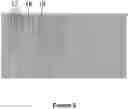 Fig. 06 - NUCLEIC ACID PURIFICATION