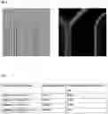 Fig. 07 - Particle sorting in a microfluidic system