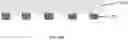 Fig. 66 - Adhesive bonding composition and electronic components prepared from the same