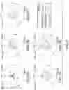 Fig. 06 - Taper reamer