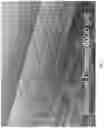 Fig. 06 - Laser deposition process for a self sharpening knife cutting edge