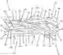 Fig. 01 - Compoundless abrasive polishing or buffing article