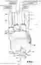 Fig. 08 - Methods of cutting fiber reinforced polymer composite workpieces with a pure waterjet