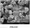 Fig. 14 - Methods of cutting fiber reinforced polymer composite workpieces with a pure waterjet