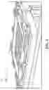 Fig. 03 - Apparatus and methods for selective thermoforming