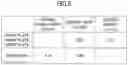 Fig. 06 - Laminated glass