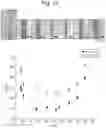 Fig. 09 - Solvo-dynamic printing