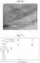 Fig. 16 - Solvo-dynamic printing