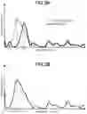 Fig. 04 - FORGERY PREVENTION STRUCTURE, FORGERY PREVENTION MEDIUM, AND METHOD FOR EXAMINING FORGERY PREVENTION STRUCTURE