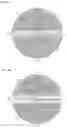 Fig. 20 - Assemblies and processes for producing optical effect layers comprising oriented non-spherical oblate magnetic or magnetizable pigment particles