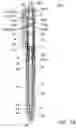 Fig. 20 - Pressurized-type writing implement