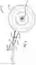 Fig. 02 - Universal wishbone trailing arm