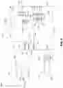 Fig. 12 - Thermal conditioning systems and methods for vehicle regions