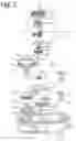 Fig. 03 - Adjustment device for an air influencing element, method for adjusting an air influencing element with an adjustment device, motor vehicle provided with an air influencing element with an adjustment device