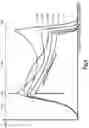 Fig. 11 - Seat belt retractor with adaptive load limiting