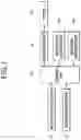 Fig. 02 - Air bleeding apparatus and method for electric brake systems