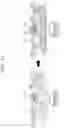 Fig. 13 - Electronic apparatus and method of assisting driving of vehicle