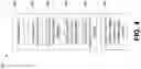 Fig. 10 - On-board vehicle query system