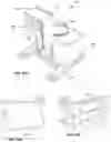 Fig. 17 - CONTROL SYSTEMS FOR HEAVY LOAD WALKING SYSTEMS