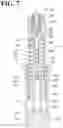 Fig. 08 - Vehicle height adjustment device