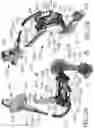 Fig. 18 - Automatic bicycle shifter and electrical derailleur