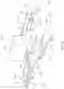 Fig. 03 - System for damping movements of a load over a fluctuant watery environment and a vehicle comprising same
