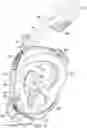 Fig. 25 - Snorkel and diving mask system