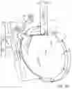 Fig. 09 - Device and method for singulation of used beverage or food containers