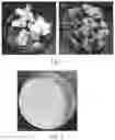 Fig. 02 - Process for producing carbonate apatite