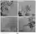 Fig. 04 - Synthesis of nanocrystalline beta zeolite, synthesis method and use thereof in catalytic applications