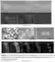 Fig. 03 - Process for preparing rodlike magnetiic ferroferric oxide material and use thereof
