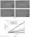 Fig. 05 - Process for preparing rodlike magnetiic ferroferric oxide material and use thereof