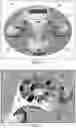 Fig. 04 - Chemical dispensing system and method