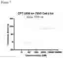 Fig. 08 - Small molecule compound