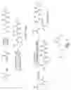 Fig. 04 - NOVEL SYRINGOLIN ANALOGUES AND METHODS OF MAKING AND USING SAME