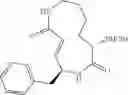 Fig. 43 - NOVEL SYRINGOLIN ANALOGUES AND METHODS OF MAKING AND USING SAME