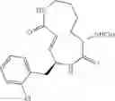Fig. 48 - NOVEL SYRINGOLIN ANALOGUES AND METHODS OF MAKING AND USING SAME