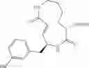 Fig. 51 - NOVEL SYRINGOLIN ANALOGUES AND METHODS OF MAKING AND USING SAME