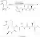 Fig. 54 - NOVEL SYRINGOLIN ANALOGUES AND METHODS OF MAKING AND USING SAME