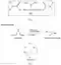 Fig. 02 - Manufacturing method for and insecticidal compositions comprising thiocyclam hydrochloride