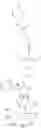 Fig. 102 - Modulators of P97 AAA ATPase activity