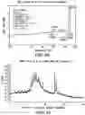 Fig. 23 - Solid forms comprising (s)-4-(4-(4-(((2-(2,6-dioxopiperidin-3-yl)-1-oxoisoindolin-4-yl)oxy)methyl)benzyl)piperazin-1-yl)-3-fluorobenzonitrile and salts thereof, and compositions comprising and methods of using the same